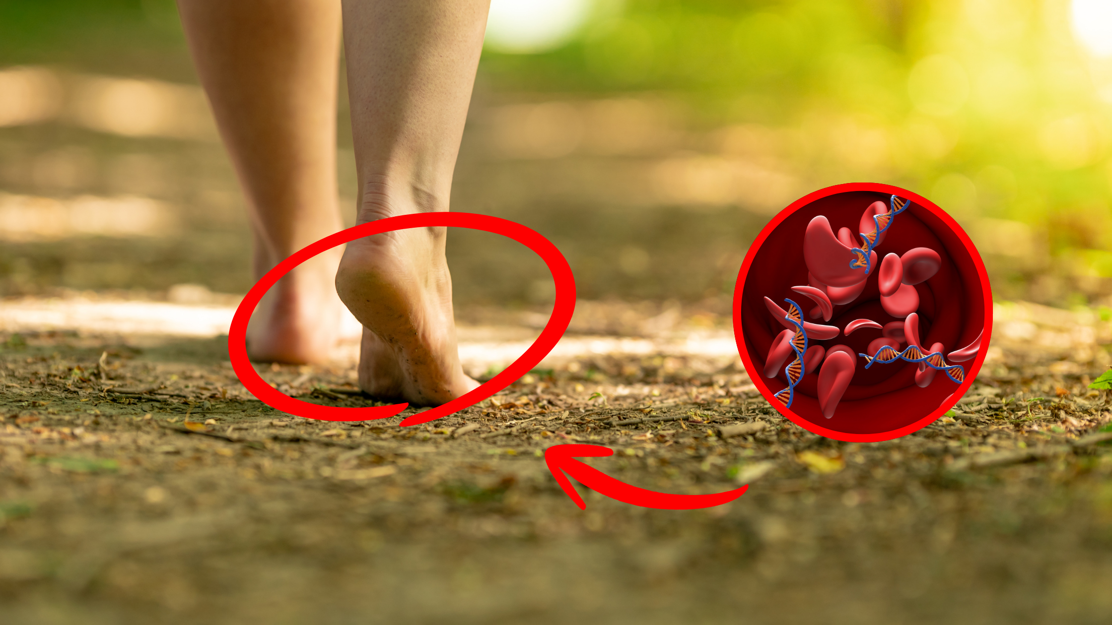 Luonnollinen Tapa Alentaa Verenpainetta